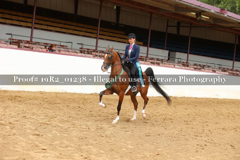 Proof 19R2_01238