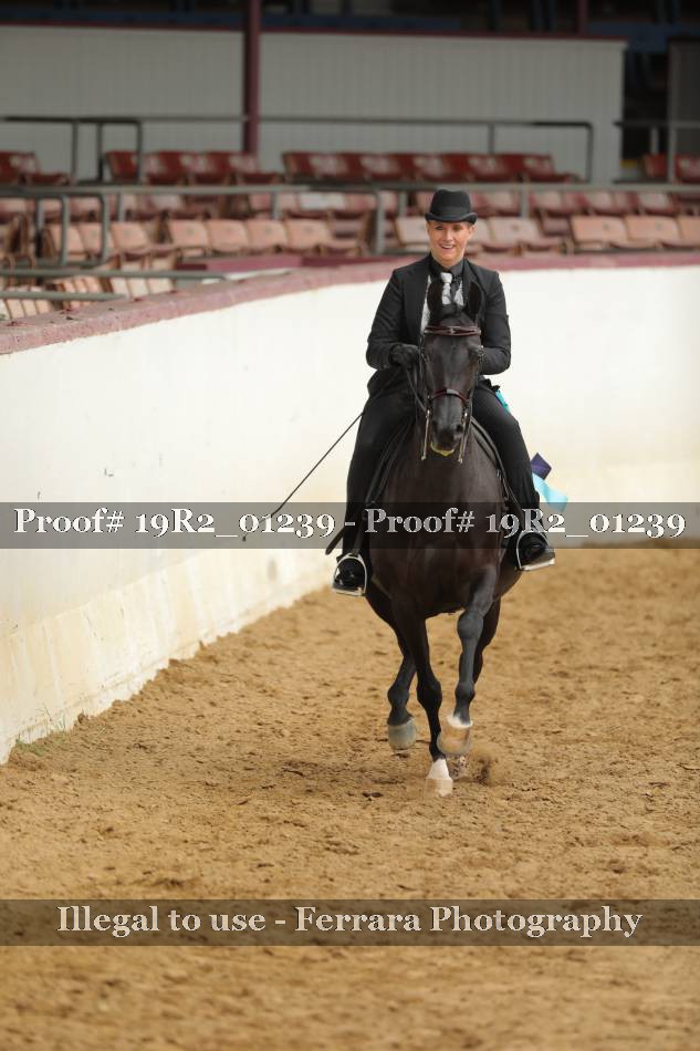 Proof 19R2_01239