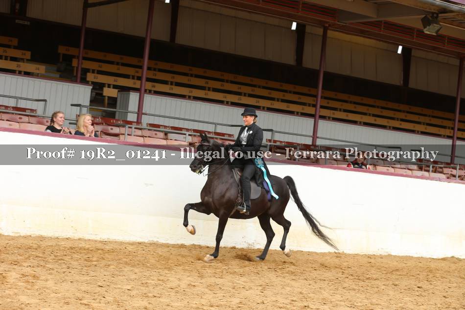 Proof 19R2_01241
