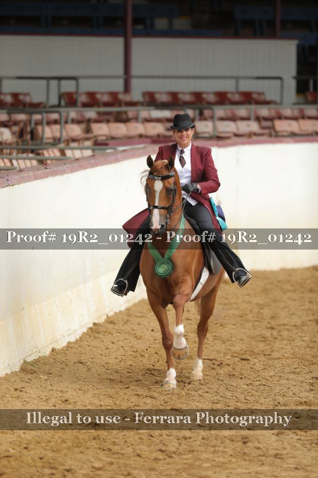Proof 19R2_01242