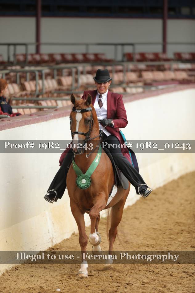 Proof 19R2_01243