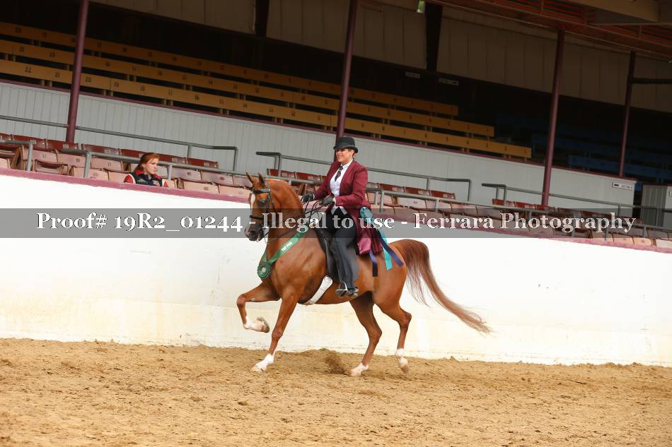 Proof 19R2_01244