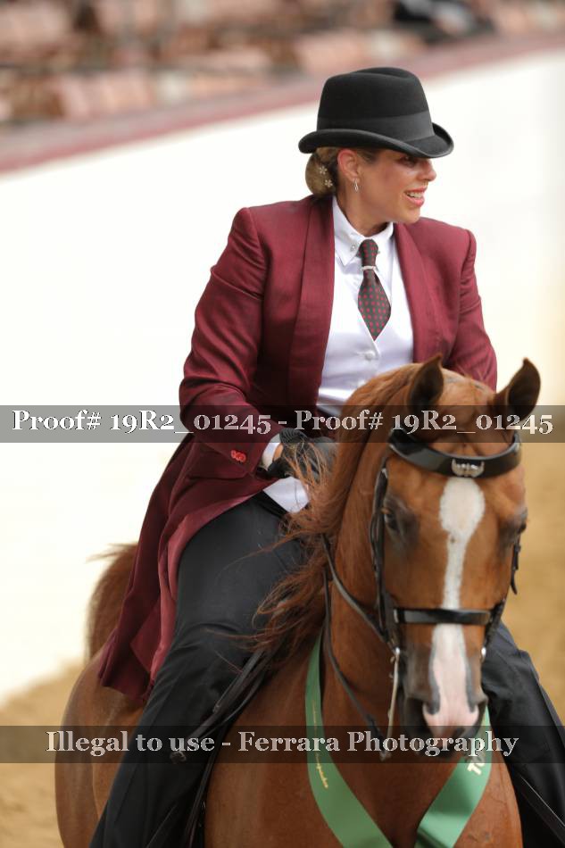 Proof 19R2_01245