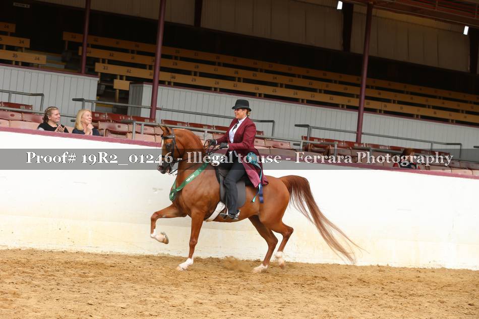 Proof 19R2_01246
