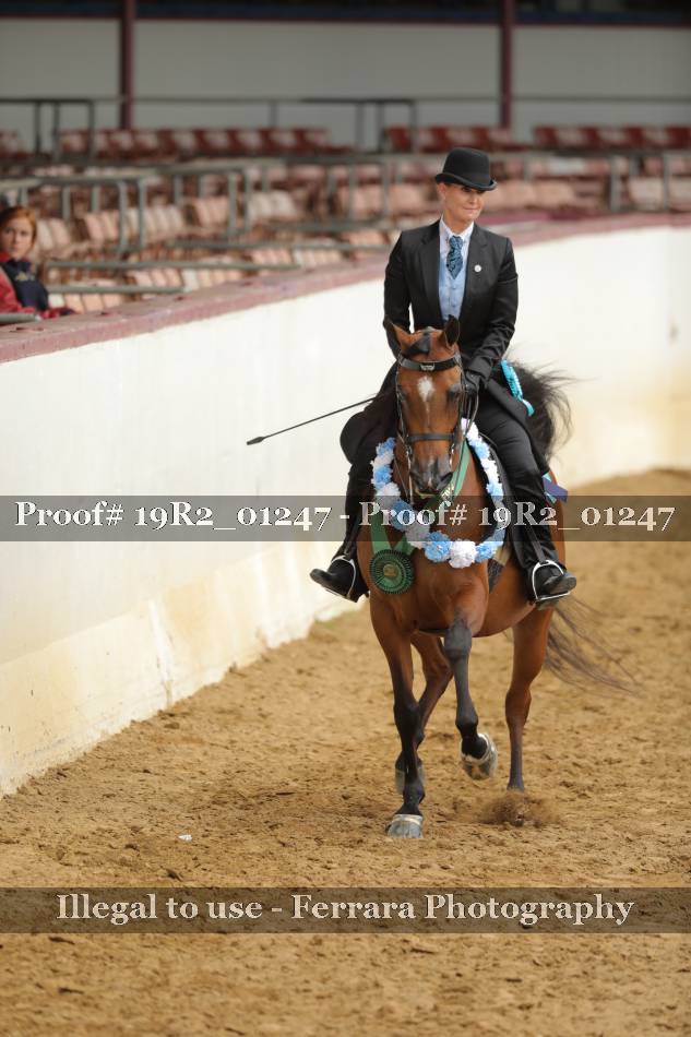 Proof 19R2_01247