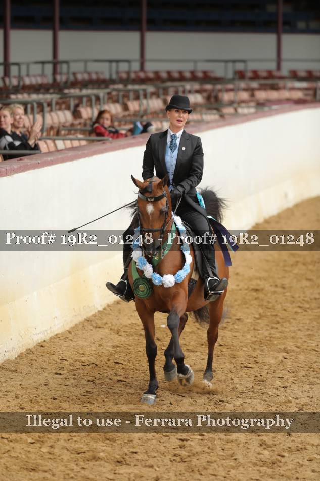 Proof 19R2_01248