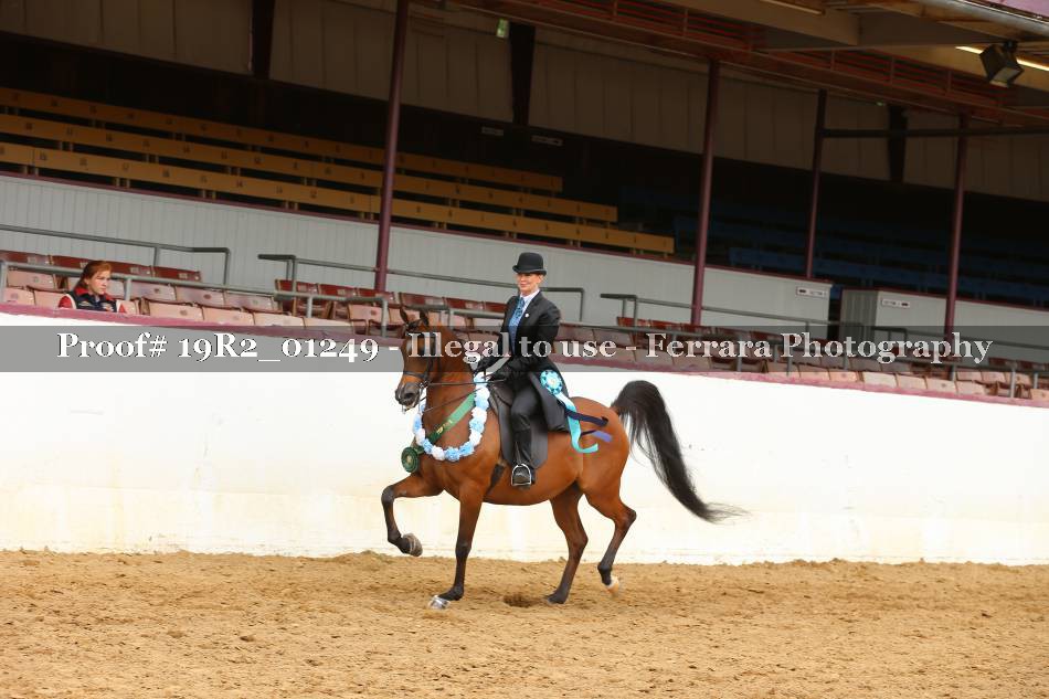 Proof 19R2_01249