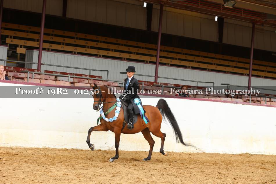 Proof 19R2_01250