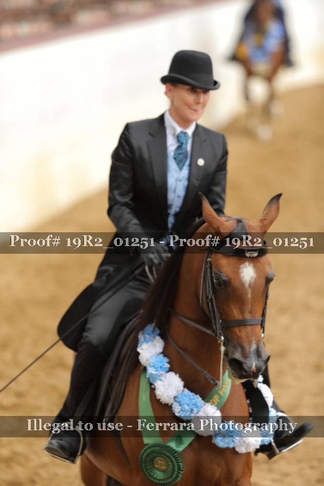 Proof 19R2_01251
