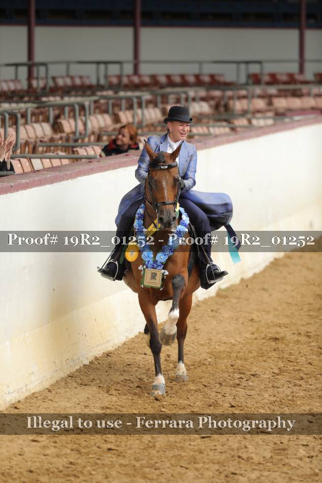 Proof 19R2_01252