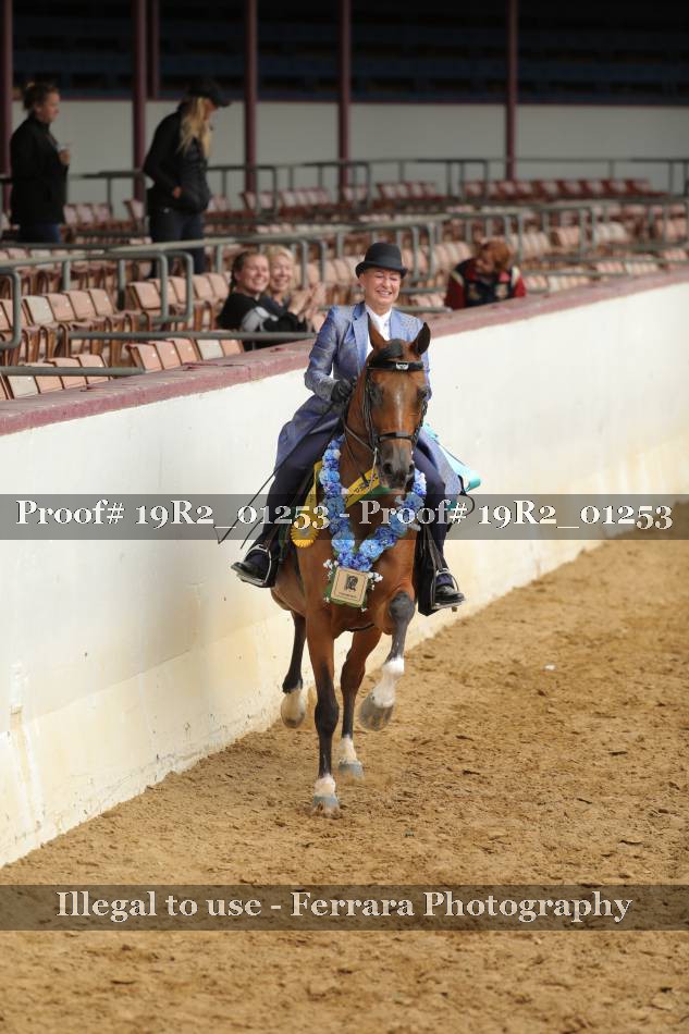 Proof 19R2_01253