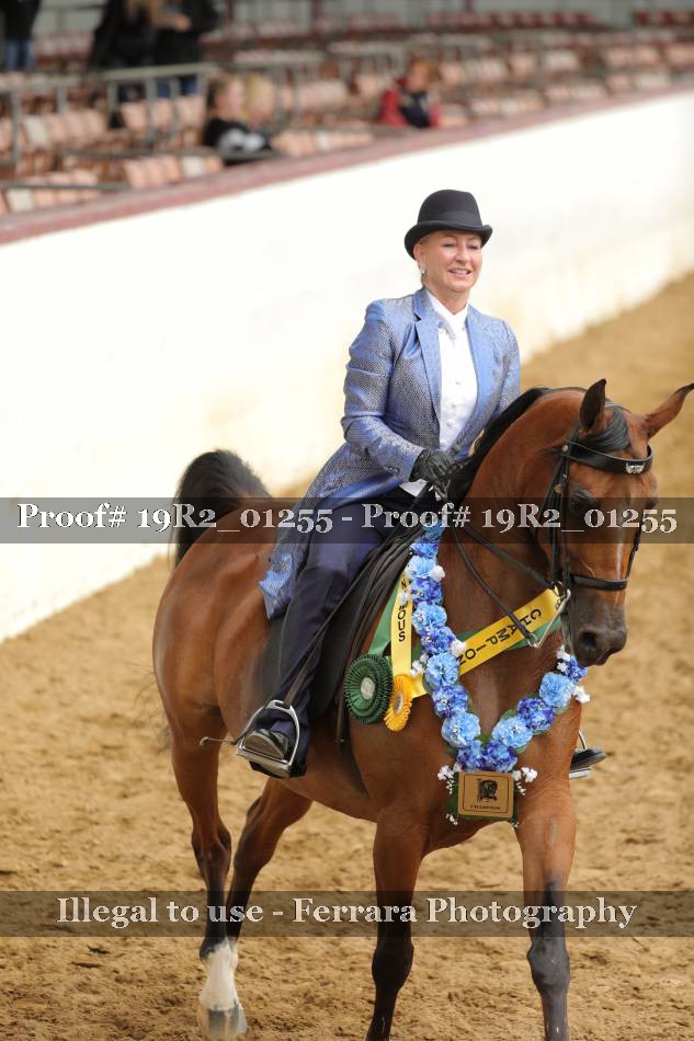 Proof 19R2_01255