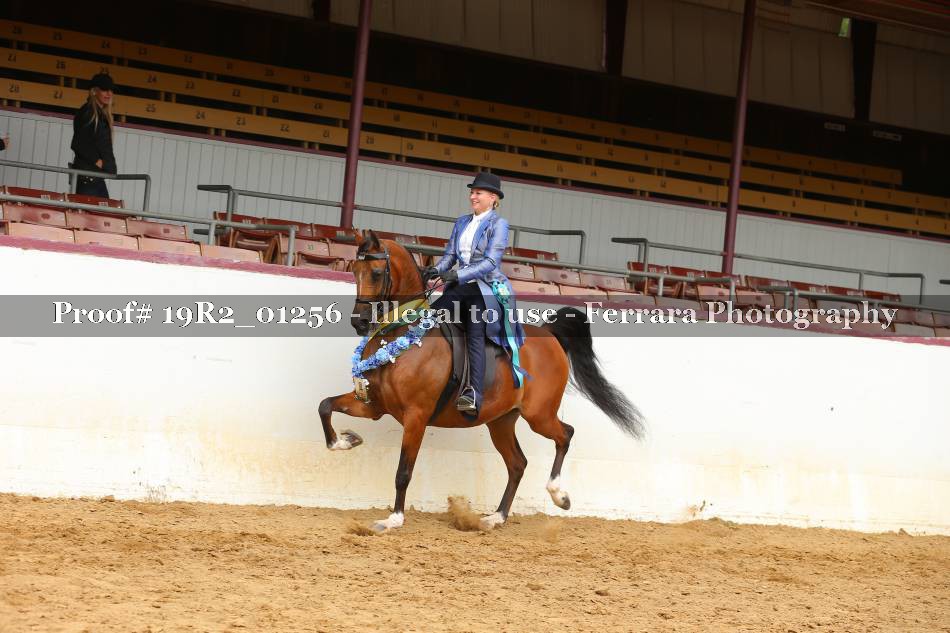 Proof 19R2_01256