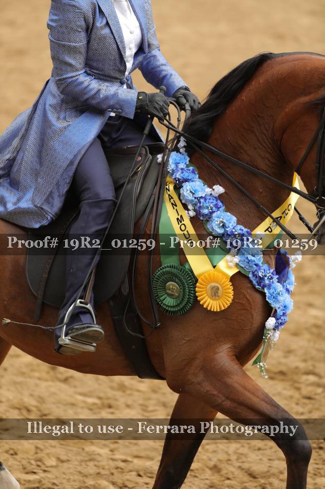 Proof 19R2_01259