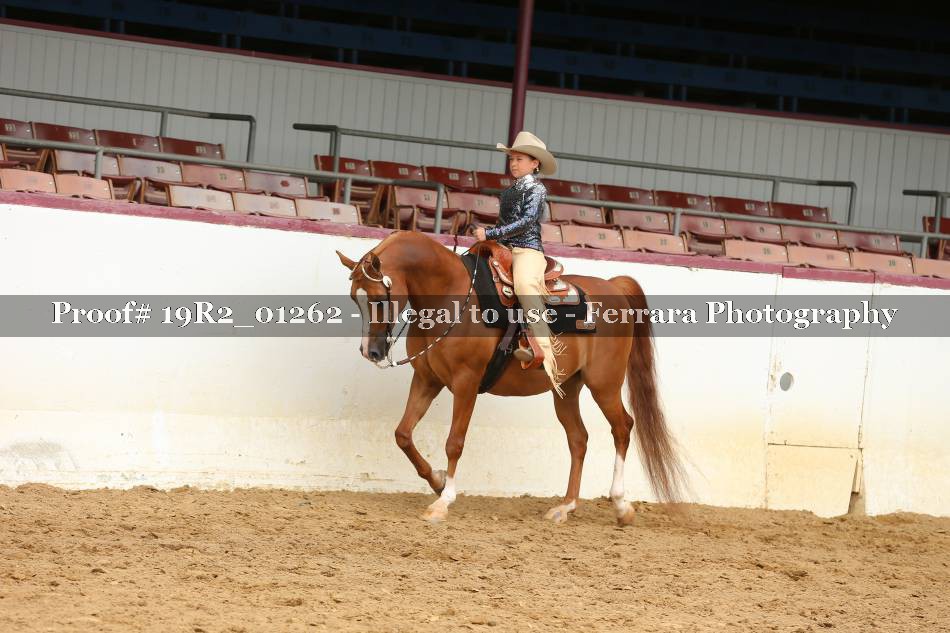 Proof 19R2_01262