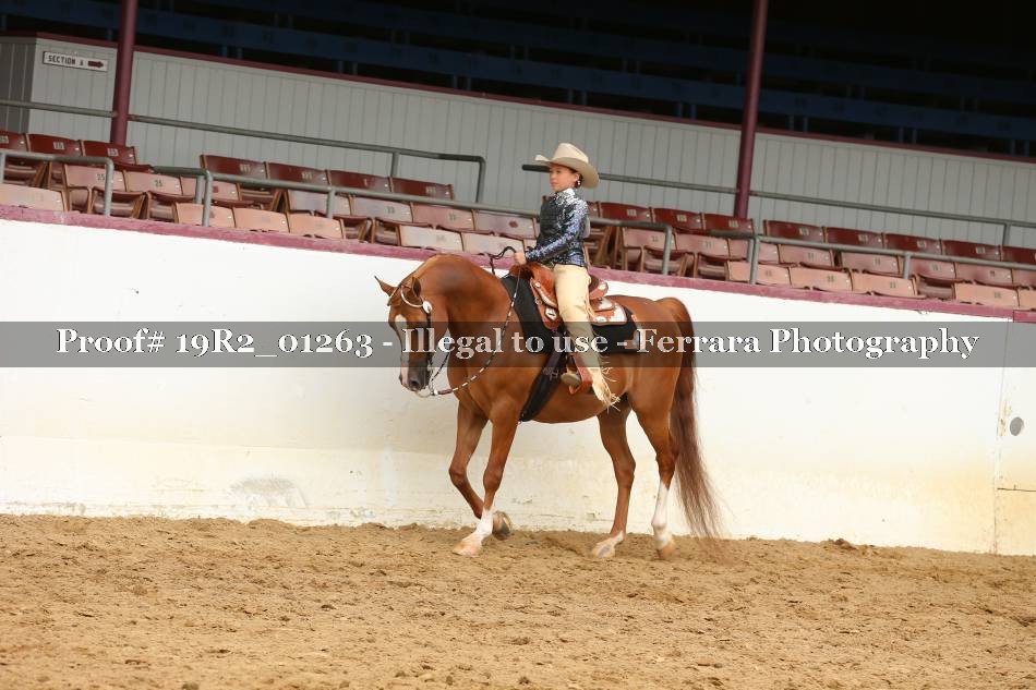 Proof 19R2_01263
