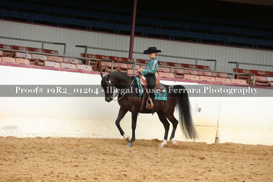 Proof 19R2_01264