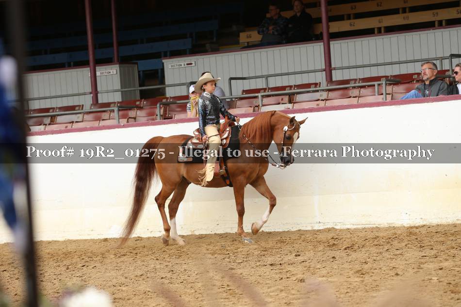 Proof 19R2_01275