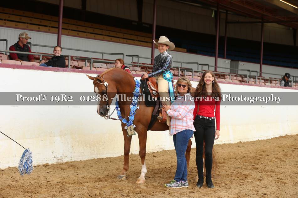 Proof 19R2_01288