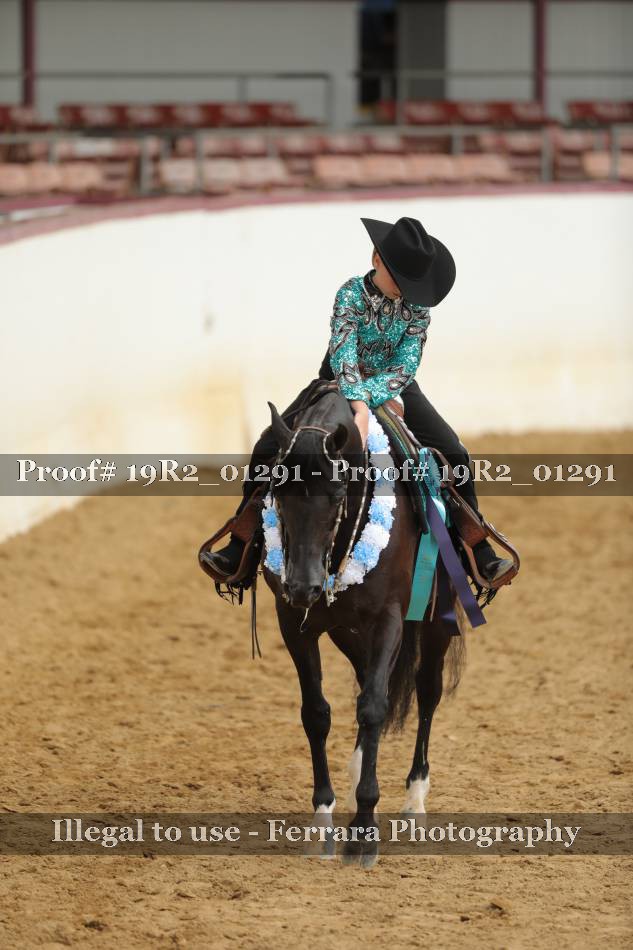 Proof 19R2_01291