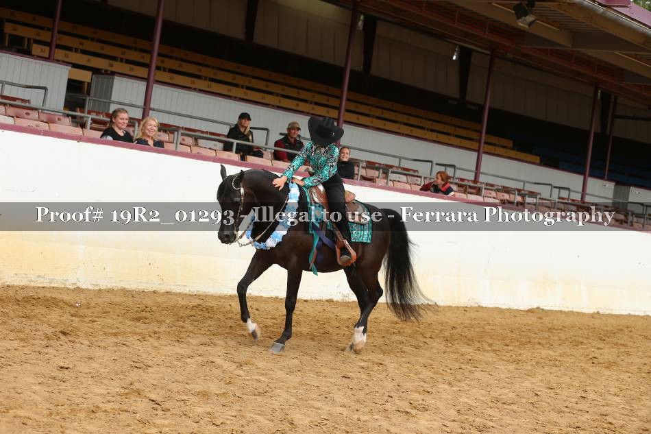 Proof 19R2_01293