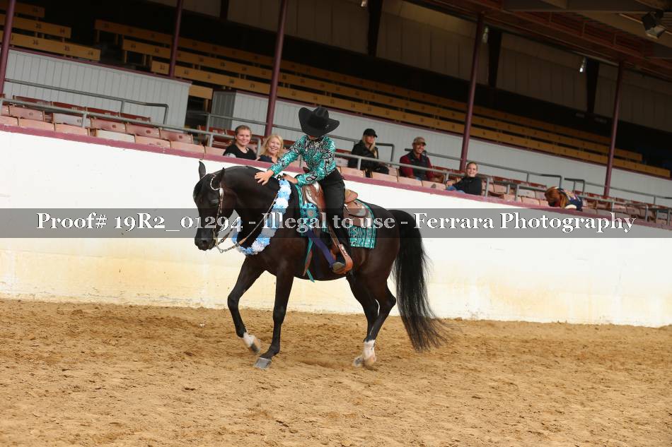 Proof 19R2_01294