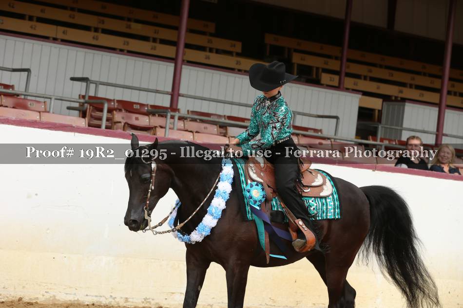 Proof 19R2_01295