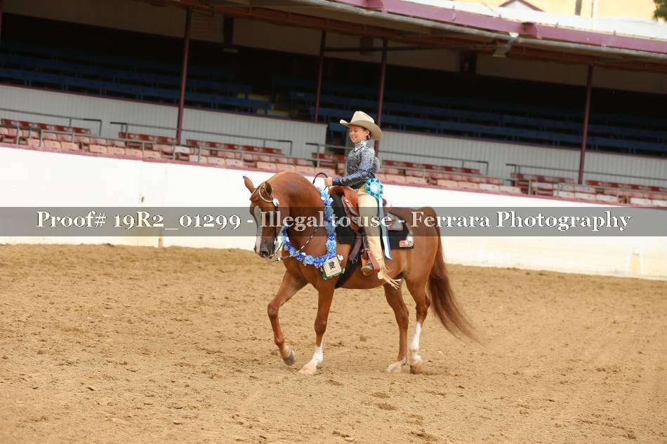 Proof 19R2_01299
