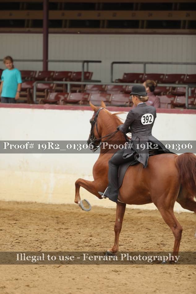 Proof 19R2_01306