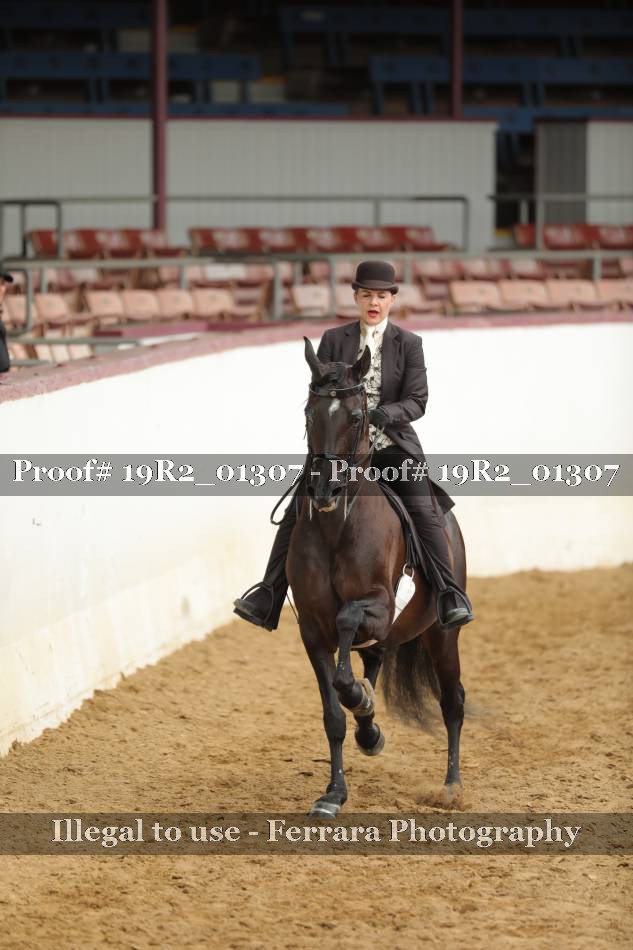 Proof 19R2_01307