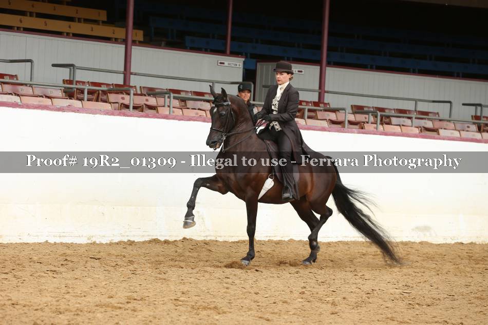 Proof 19R2_01309