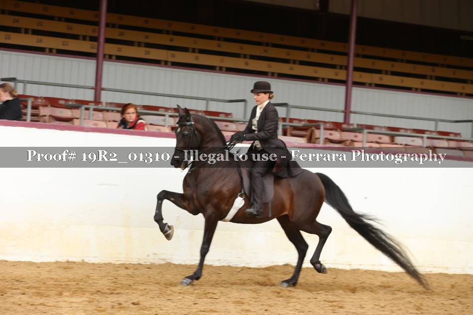 Proof 19R2_01310