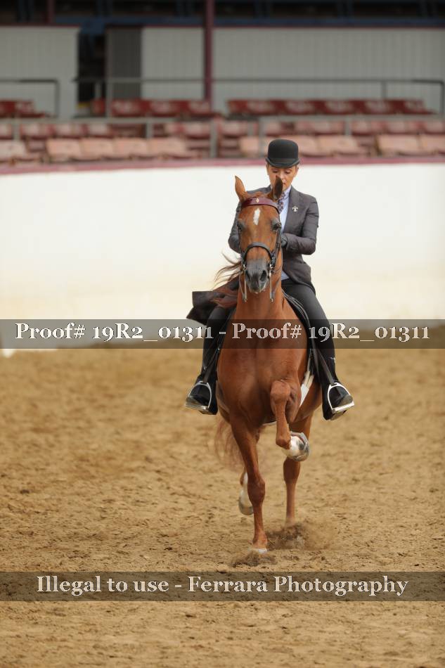Proof 19R2_01311