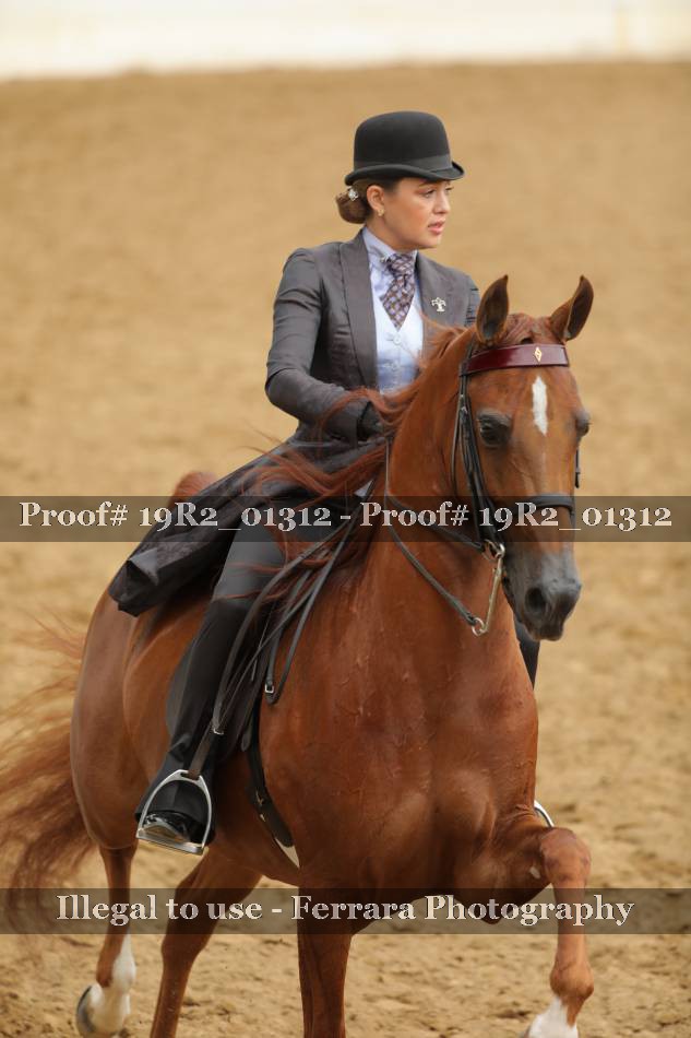 Proof 19R2_01312