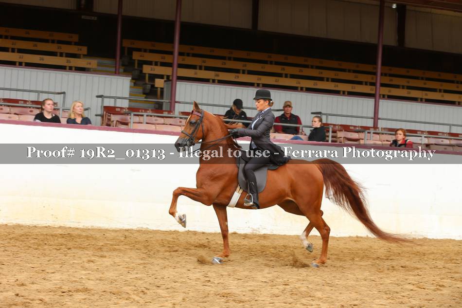 Proof 19R2_01313