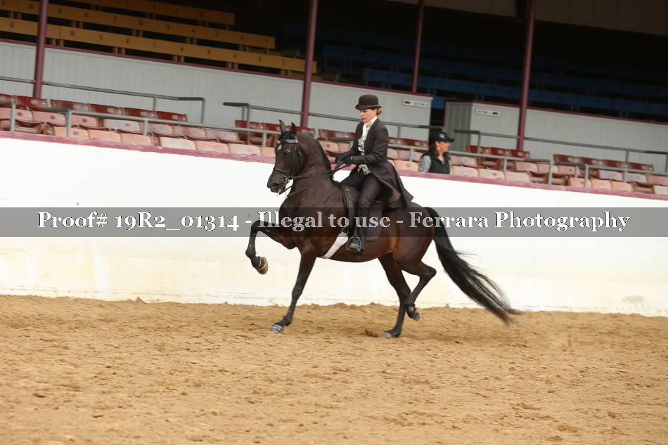 Proof 19R2_01314