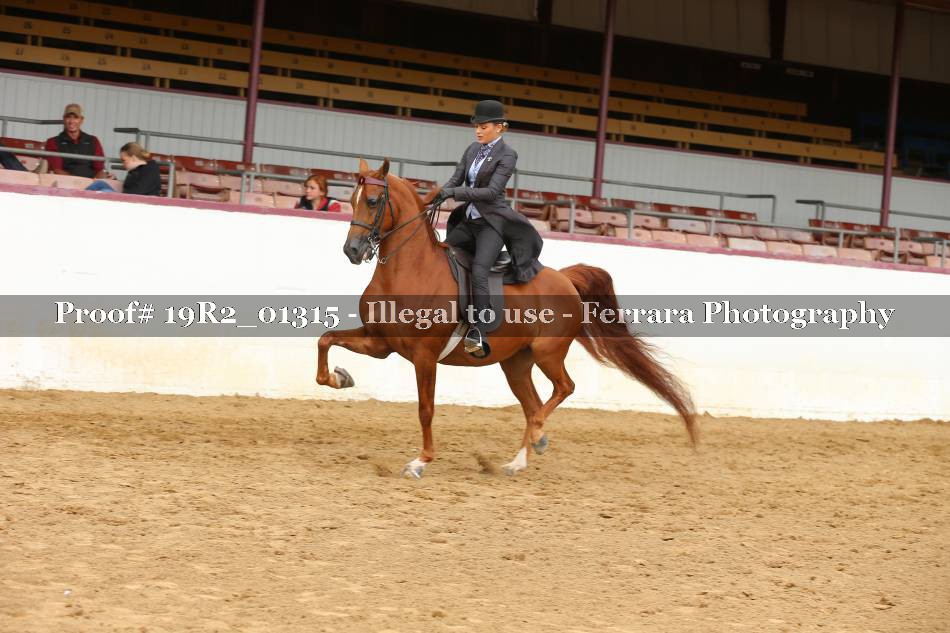 Proof 19R2_01315