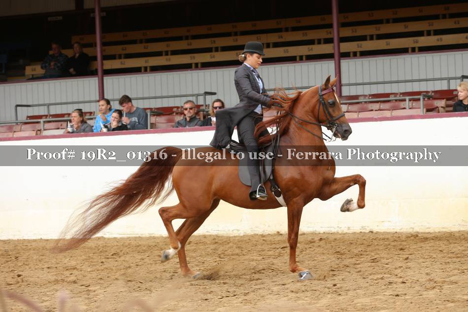 Proof 19R2_01316