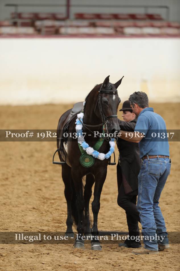 Proof 19R2_01317