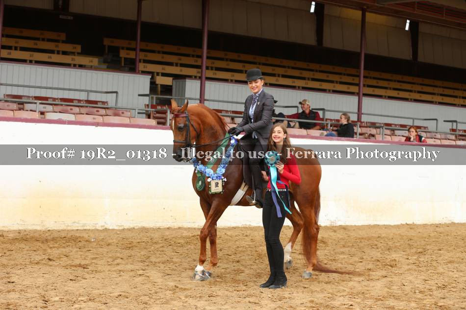 Proof 19R2_01318