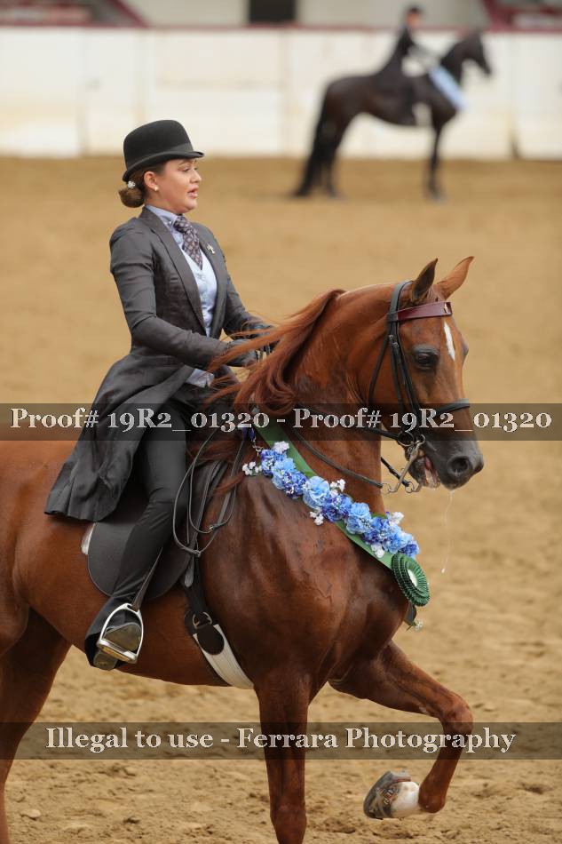Proof 19R2_01320