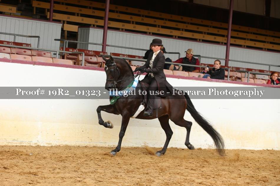 Proof 19R2_01323