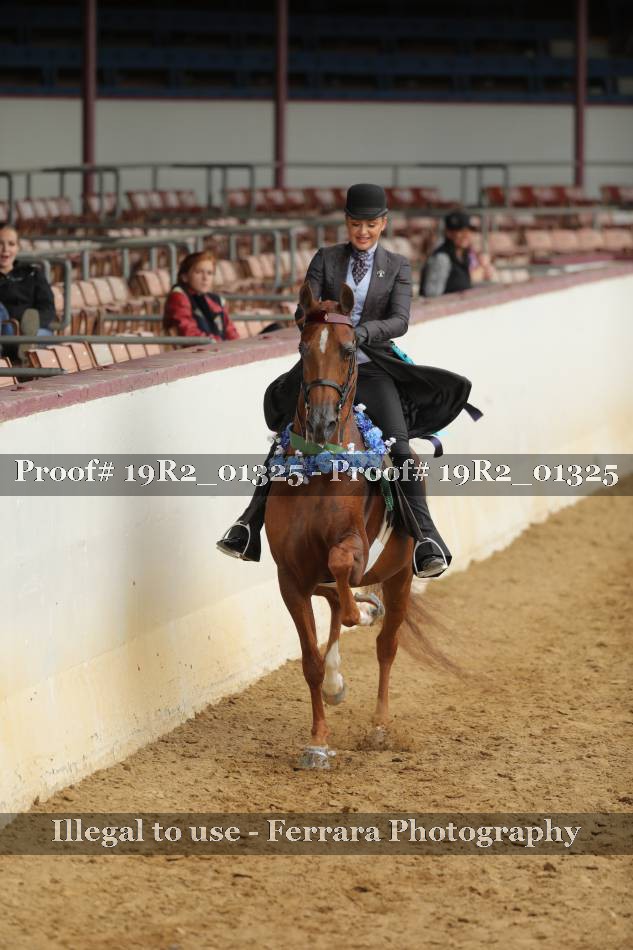 Proof 19R2_01325