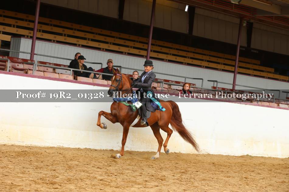 Proof 19R2_01328