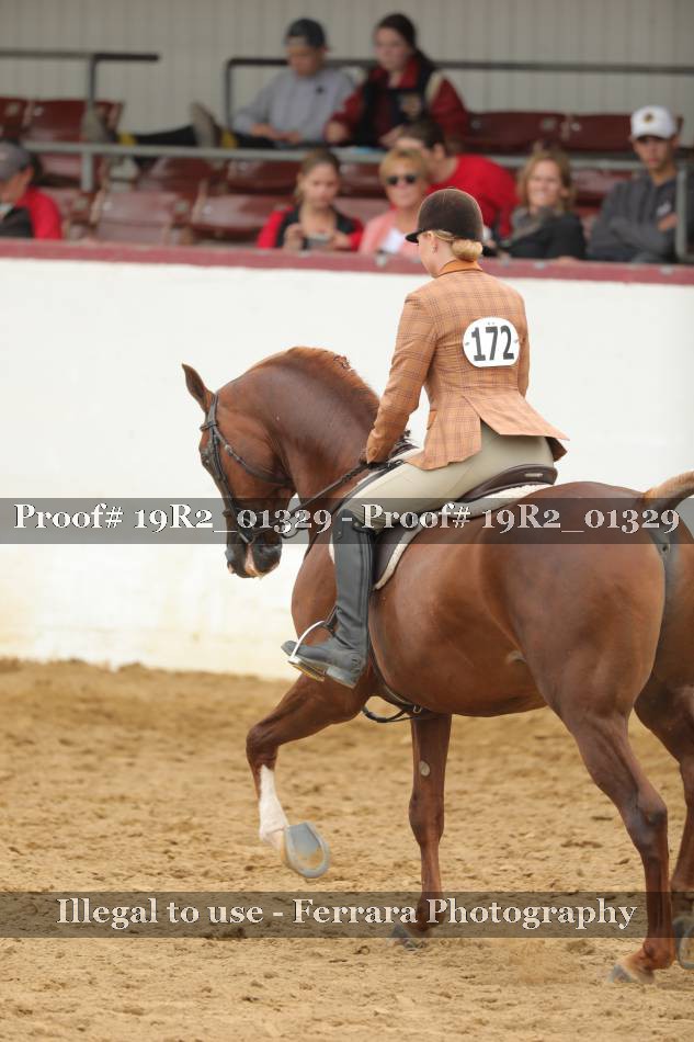 Proof 19R2_01329