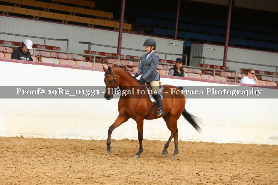 Proof 19R2_01331