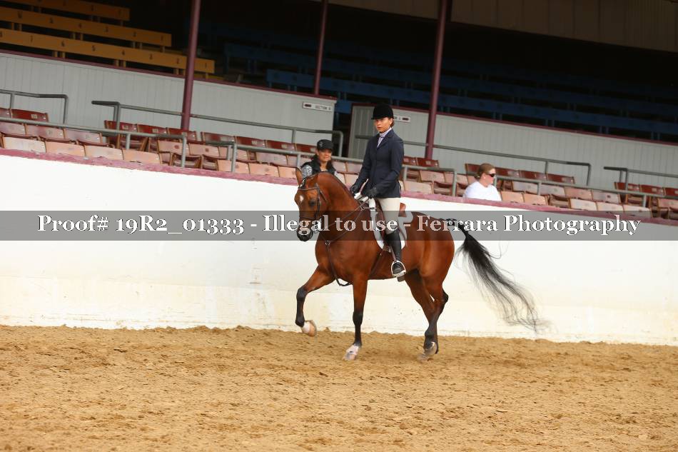 Proof 19R2_01333