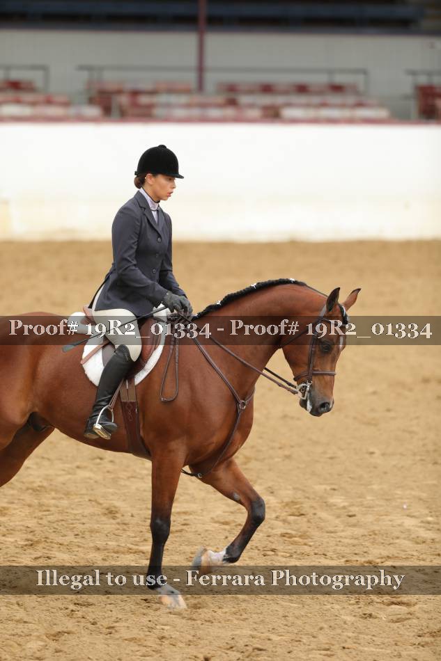 Proof 19R2_01334