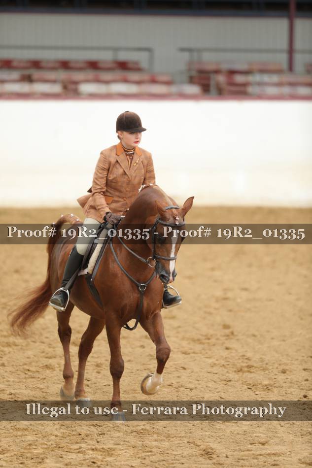 Proof 19R2_01335