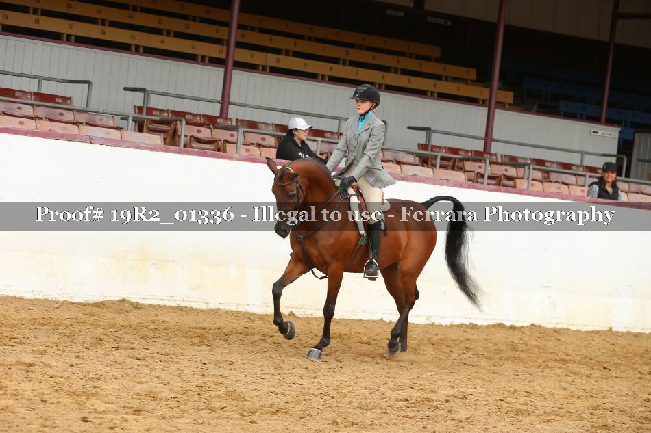 Proof 19R2_01336